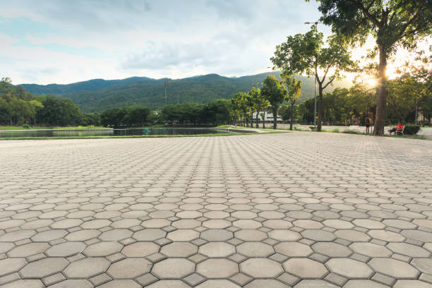 Best Local Driveway Pavers  in Overlea, MD